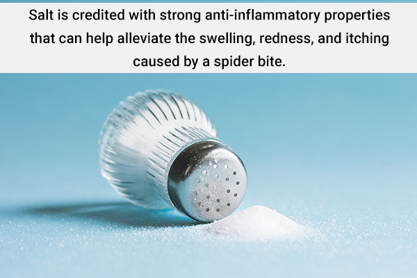 salt application can help soothe the spider bite