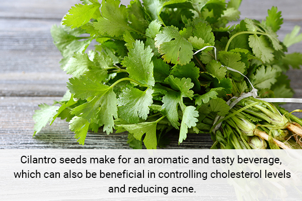 cilantro is a herb helpful in body detoxification