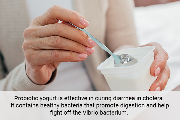 consuming probiotic yogurt is effective in cholera recovery