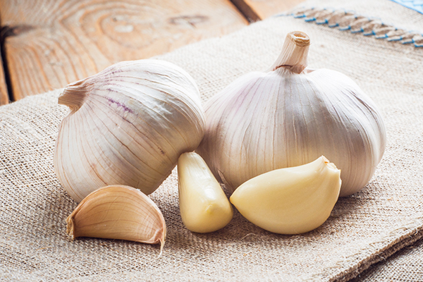 garlic consumption can help fight against infections