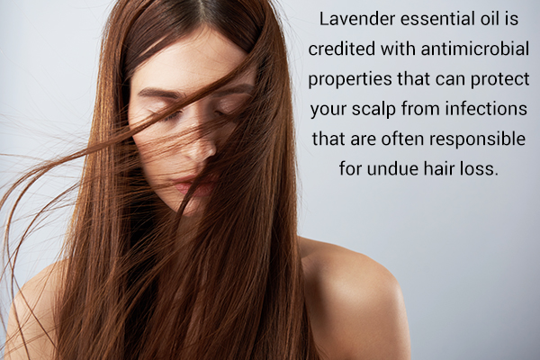 lavender essential oil can help reduce hair fall and induce hair growth