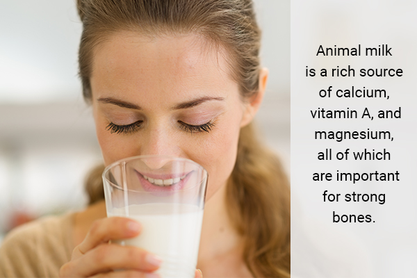 consuming animal milk can help strengthen your teeth, bones