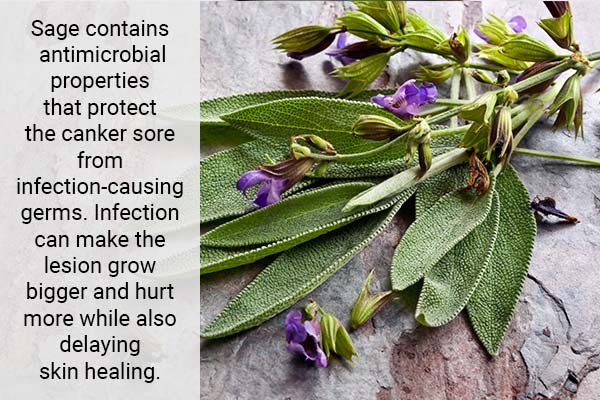 using sage can help relieve canker sore issues
