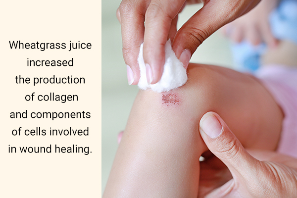 wheatgrass juice can assist in wound healing