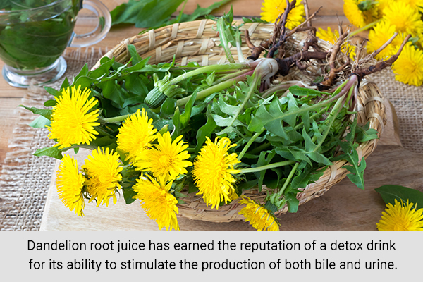 dandelion root extract can help promote kidney health