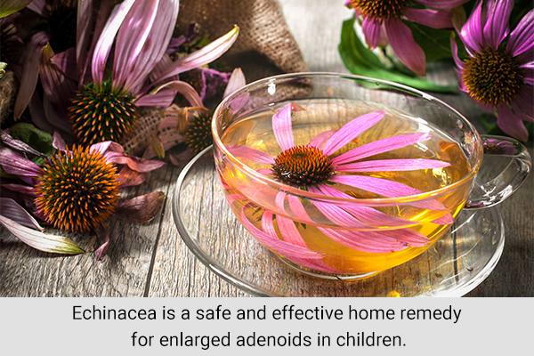 echinacea can help provide relief from enlarged adenoids in children