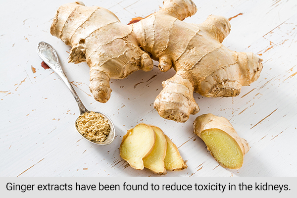 ginger extract has been found to reduce toxicity in the kidneys