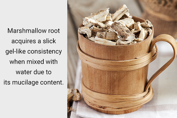 marshmallow root can help relieve mouth dryness