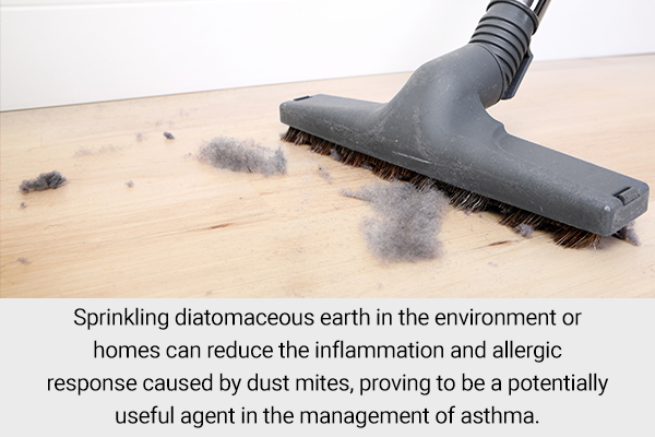 sprinkling diatomaceous earth can help reduce dust mite allergy