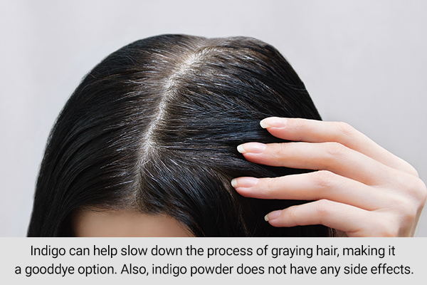 using indigo powder can slow the hair graying process
