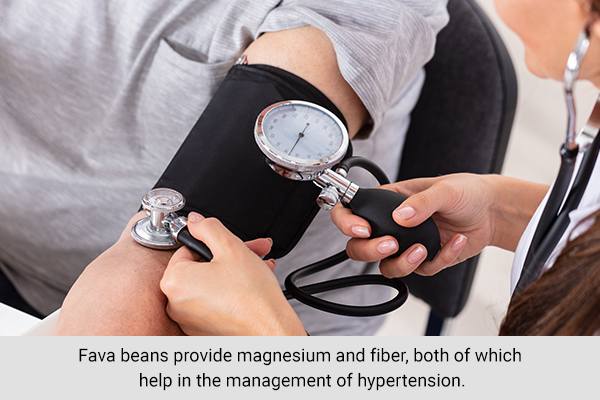 fava beans can help reduce high blood pressure