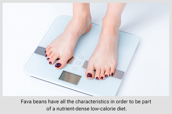 regular fava beans consumption can help in weight management