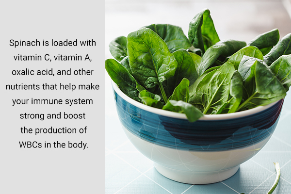 consuming spinach can help boost your white blood cell count