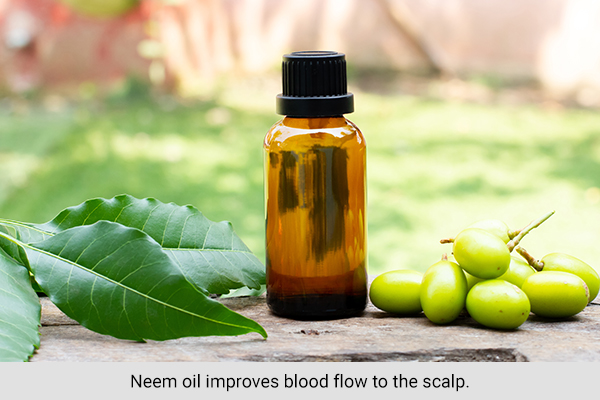 neem oil can help nourish your hair and supports hair health