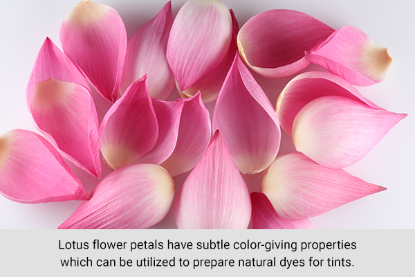 lotus flower petals can be used to provide natural tint to your face