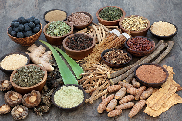 herbal remedies like Chinese herbal remedies, Ayurveda, etc. can help with epilepsy