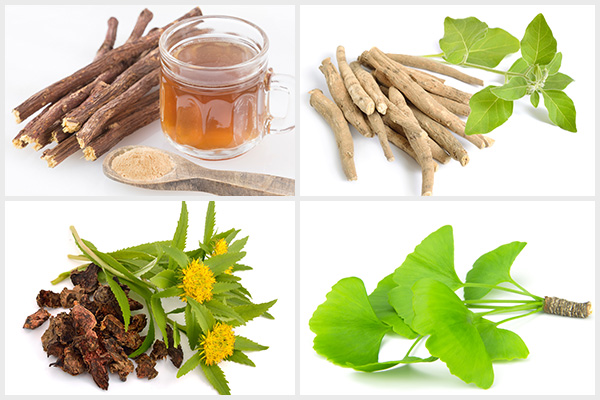 licorice root, ashwagandha, rhodiola extract can help fight adrenal fatigue