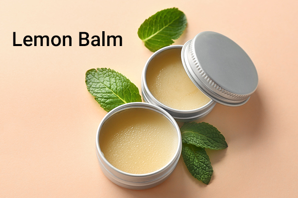 try using lemon balm to manage genital herpes