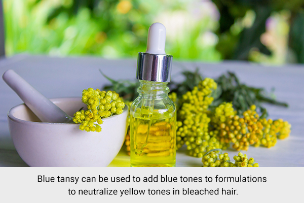 blue tansy to neutralize yellow tones from bleached hair